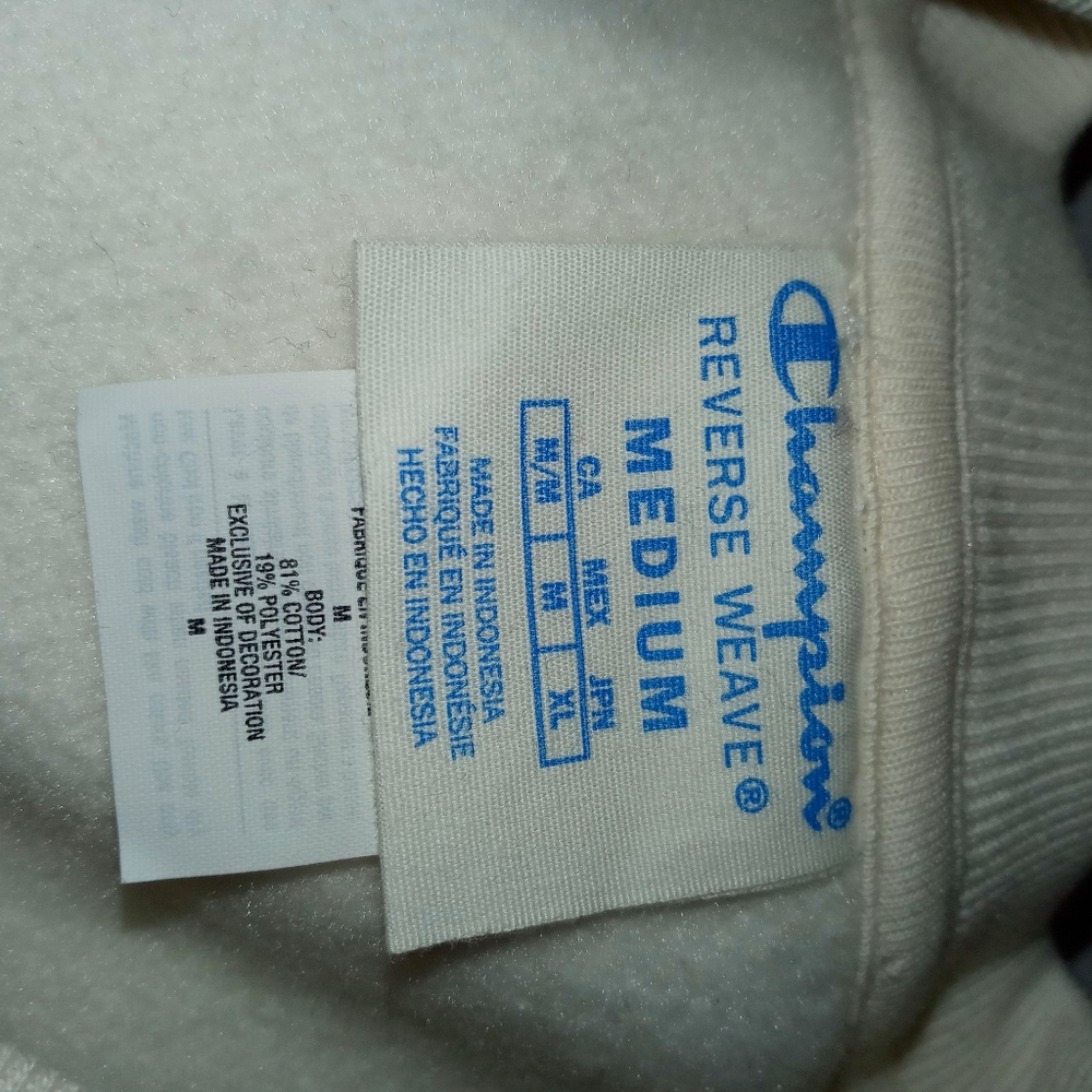 Champion Reverse Weave Colorblock Crew Neck - Picture 6 of 10